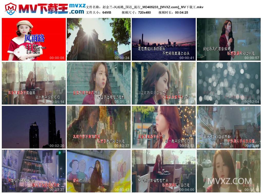 赵金兰-风雨路_国语_流行_MD405233